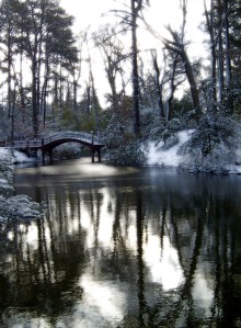 crimm dell in the winter
