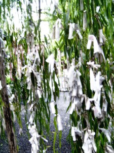 offerings at a shinto shrine behind starbucks in downtown kyoto