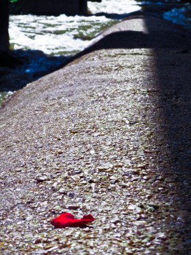 pipeline with rose petal